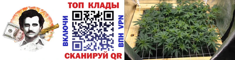 Купить наркотики сайты Циолковский APVP МЕФ Галлюциногенные грибы Каннабис ГАШ