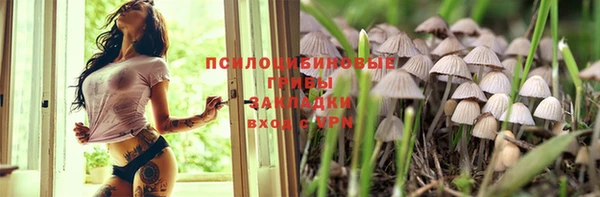 каннабис Арсеньев