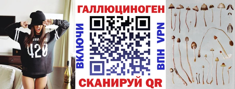 Псилоцибиновые грибы ЛСД  Циолковский 