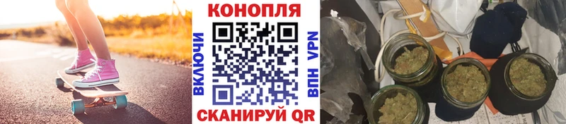 Конопля план  закладка  Циолковский 